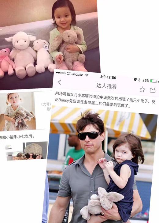 全世界最柔顺的兔子！Jellycat  邦尼兔公仔 商品图5