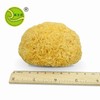 福建古田白木耳银耳3朵试吃装100g 商品缩略图5