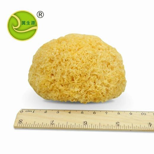 福建古田白木耳银耳3朵试吃装100g 商品图5