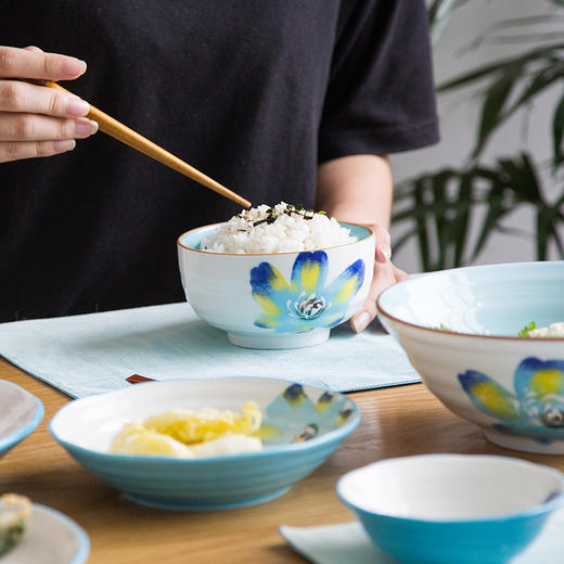 摩登主妇日式二人食五月花碗碟餐具套装米饭碗酱料碟菜盘汤盘菜盘 商品图3