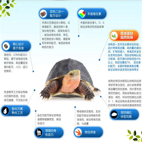 【基础粮下沉】经典系列40%高蛋白基础成长型1-3岁幼龟 商品图5