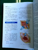 基本WAI 科技巧 商品缩略图11