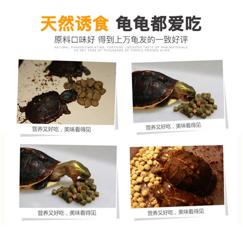 【基础粮下沉】经典系列40%高蛋白基础成长型1-3岁幼龟 商品图3