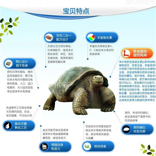 陆龟成龟粮经典系列 商品图5