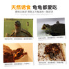 水龟粮成龟粮亚成龟粮经典系列成体水龟粮 商品缩略图3
