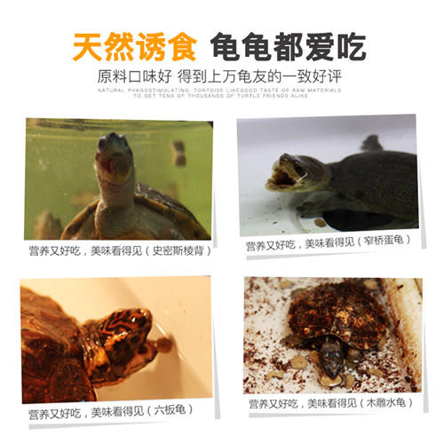 水龟粮成龟粮亚成龟粮经典系列成体水龟粮 商品图3