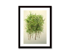 【王焱】-风景4