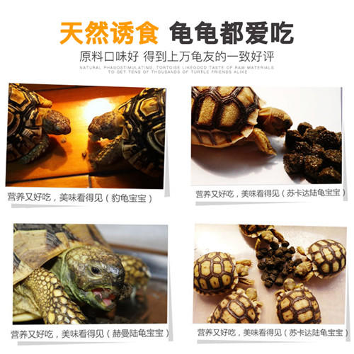 陆龟幼龟粮经典系列 商品图4