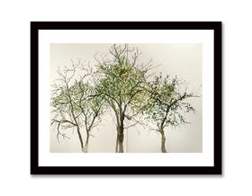 【王焱】-风景6