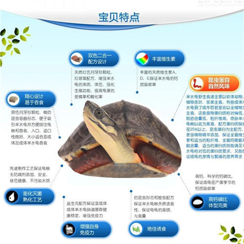 【补钙增产上浮】经典系列40%高蛋白稳产型3岁以上成龟主粮 商品图4