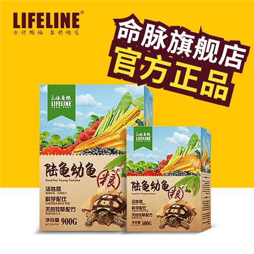 陆龟幼龟粮经典系列 商品图1