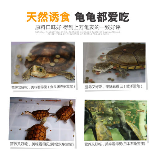 【基础粮】经典系列40%高蛋白主粮诱食龟苗开口粮成长型0-1岁 商品图4