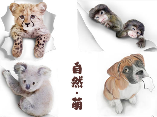 【读者】自然·萌可爱动物系列笔记本套装（一套10本） 包邮 读者出品 商品图2