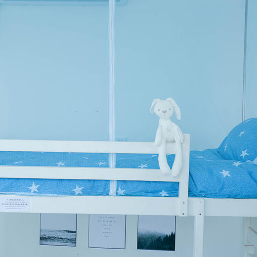 加密正开门拉链防尘清新蚊帐 商品图2