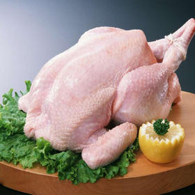 光名 西装鸡 （20只/23只/28只）（未腌制）