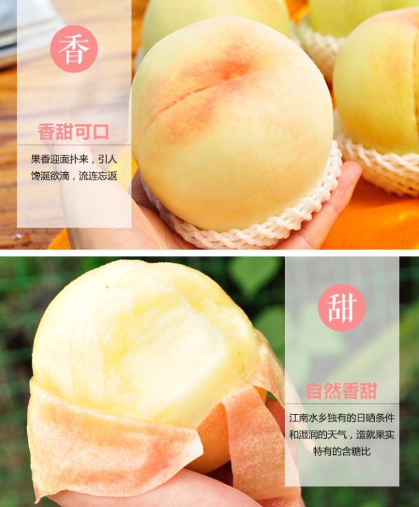 无锡金顾山水蜜桃实物礼盒全国