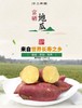 【快递包邮产地直发】桥头地瓜 商品缩略图7