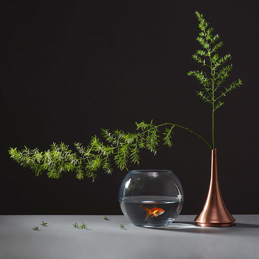 哲品家居ZL忆江南花器现代简约红铜玻璃花瓶可养鱼插干花创意摆件 商品图1