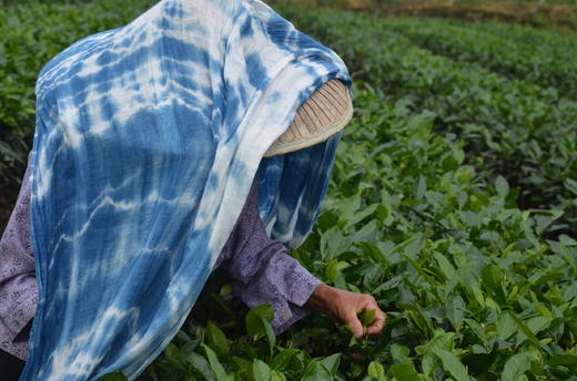 棉遮阳围巾【定制】 ○ 布丹 商品图0