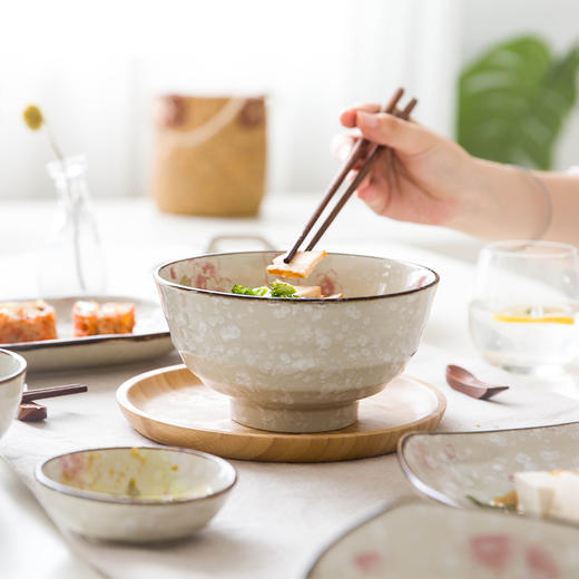 摩登主妇日式漫舞樱花系列手绘陶瓷餐具米饭碗汤碗面碗寿司盘菜盘1 商品图2