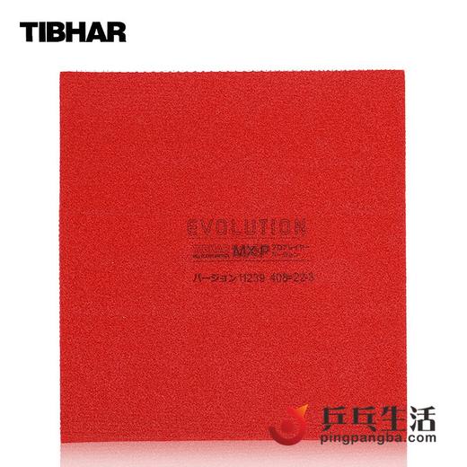 Tibhar挺拔EVOLUTION变革FX MX EL-P-S/-D国家队涩性反胶套胶 商品图1