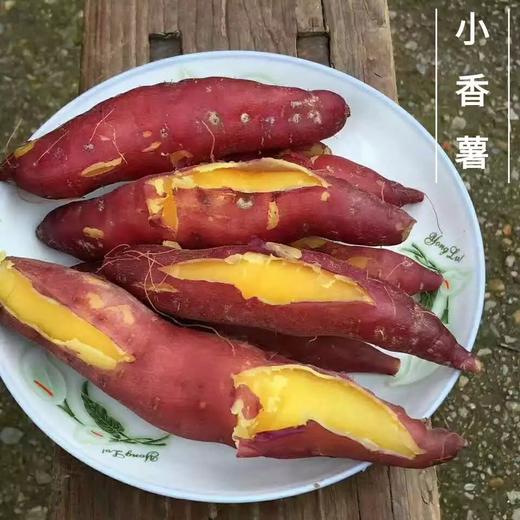 【精选】临安小香薯天目山小红薯5斤新鲜紫薯地瓜板栗薯农家番薯包邮 商品图1