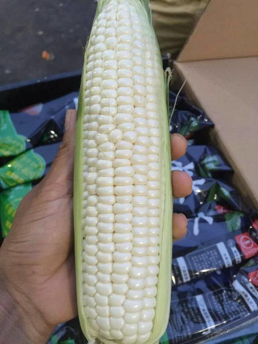 台湾水果玉米团购开始周四2018年07月19号到货即可领取当天务必领取