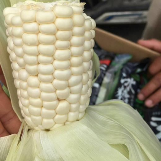 台湾水果玉米团购开始周四2018年07月19号到货即可领取当天务必领取