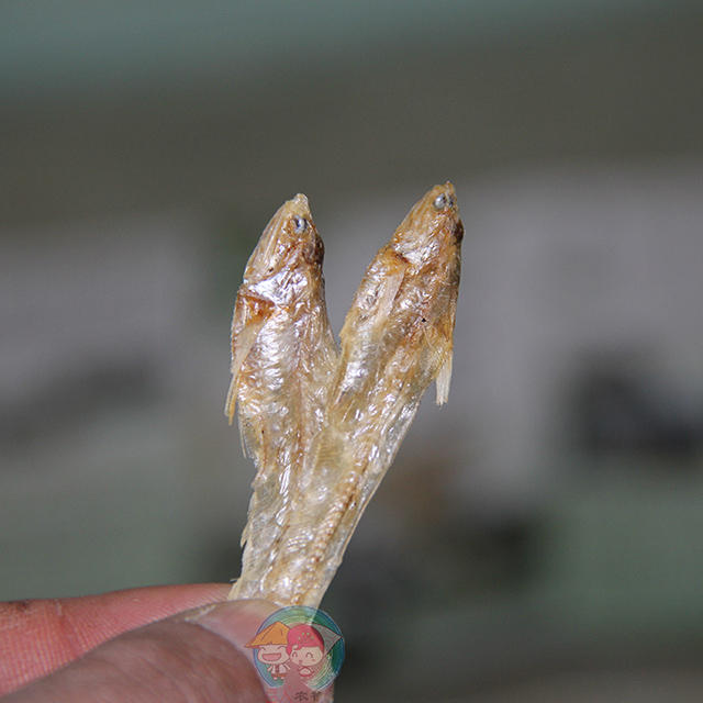 野生毛鱼干 | 巢湖毛刀鱼干水产干货小毛鱼毛草鱼250g