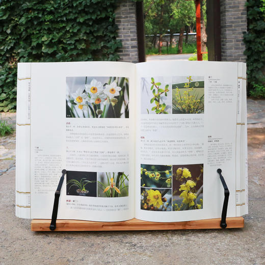 《梦里仙葩 尘世芳华<红楼梦>植物大观》康晓静 赵世伟 编著 商品图10