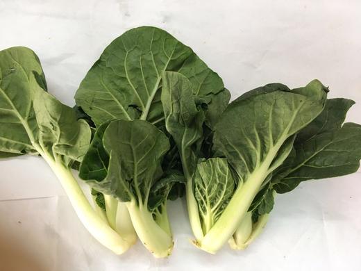 202宁夏小白菜约300克06斤一份