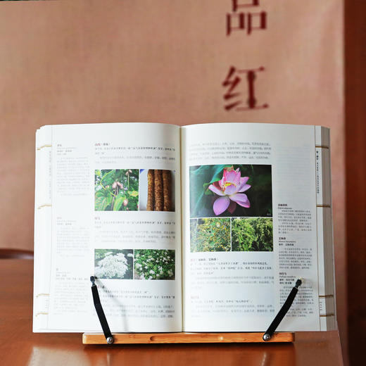 《梦里仙葩 尘世芳华<红楼梦>植物大观》康晓静 赵世伟 编著 商品图8