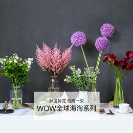 【兑换专用】WOW全球海淘系列包月花束 | 精选全球好花，低成本享用海外优质鲜花