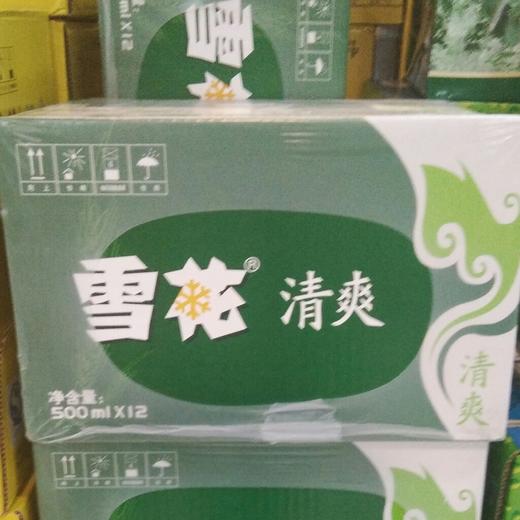 500g12雪花纯生啤酒雪花清爽啤酒500ml12