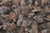 2012年”一统（桶）天下“勐海老茶头” 商品缩略图1