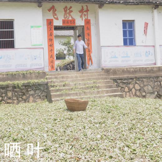 【2025年 端午蕲艾叶包】蕲艾叶 煮鸡蛋   泡澡  泡脚 500克/袋 商品图2