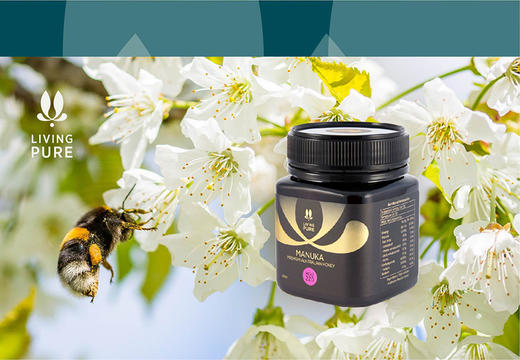 麦卢卡礼盒双支220+麦卢卡蜂蜜+香皂 (MGO220+ x 2 + Soap x 1) 商品图2