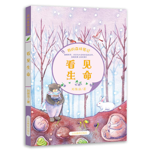 看见生命 我的森林笔记 春夏秋冬 中国版森林报 正版科普读物儿童书籍6-12岁 商品图0