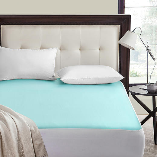【眠趣】N98 Plus·床垫防螨保护罩 水漾凉感 商品图1