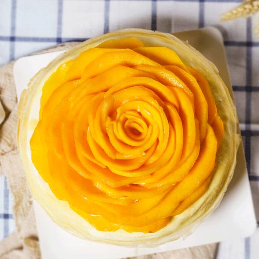 【热销】芒果花千层 商品图1