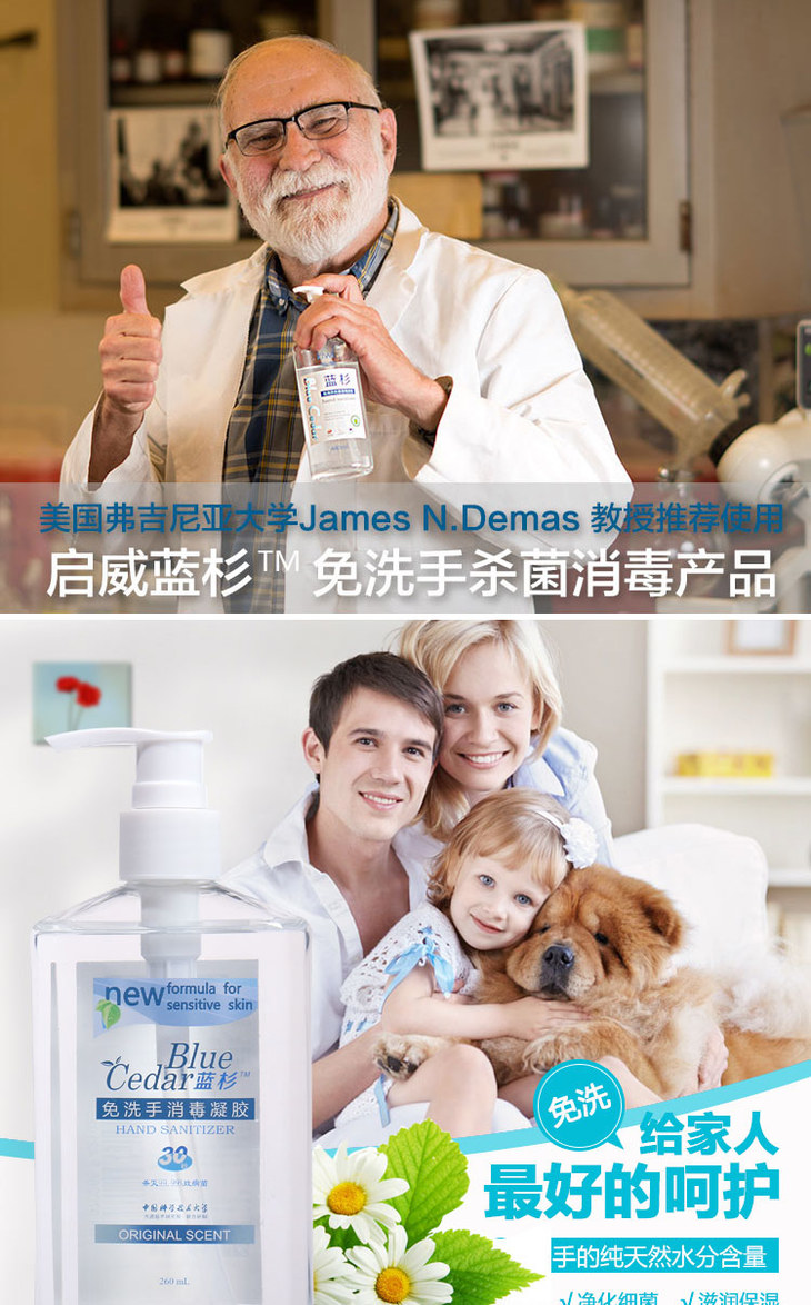 启威·blue cedar蓝杉免洗手消毒凝胶 260ml