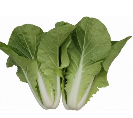 生态快菜 | 脆嫩细腻 | 石嫣农场 * Chinese Cabbage | Self-Produced 商品图2