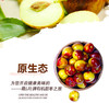 【包邮】|果子英雄戢牌甜枣| 有机鲜枣 2.4斤/件 商品缩略图0