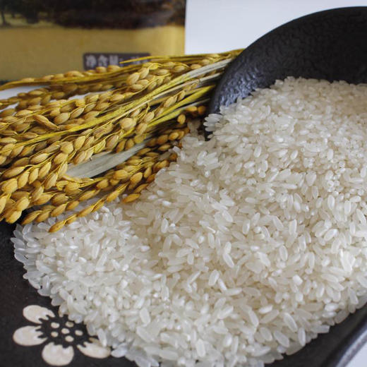 TD 【2025五常稻花香新大米上市】 五常产地直供5Kg/袋 稻花香2号 内包装漏气不影响食用 商品图3