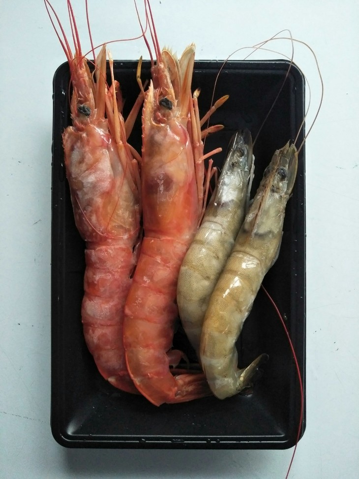【阿根廷红虾】【厄瓜多尔白虾】同诺食品同诺食品—妈妈的放心选择