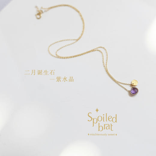 二月诞生石 紫水晶 项链 商品图1