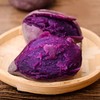越南农家紫薯迷你新鲜番薯小紫薯仔地瓜红薯生甜红薯5斤装包邮 商品缩略图3