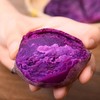 越南农家紫薯迷你新鲜番薯小紫薯仔地瓜红薯生甜红薯5斤装包邮 商品缩略图2
