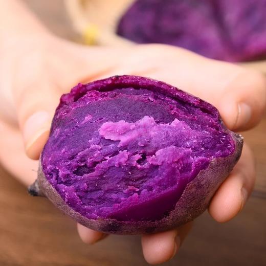 越南农家紫薯迷你新鲜番薯小紫薯仔地瓜红薯生甜红薯5斤装包邮 商品图2