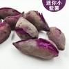 越南农家紫薯迷你新鲜番薯小紫薯仔地瓜红薯生甜红薯5斤装包邮 商品缩略图6